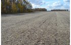 Property photo 29 - 75.3 Acres Offered in 2 Tracts